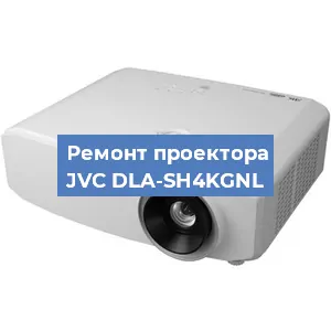 Замена поляризатора на проекторе JVC DLA-SH4KGNL в Самаре